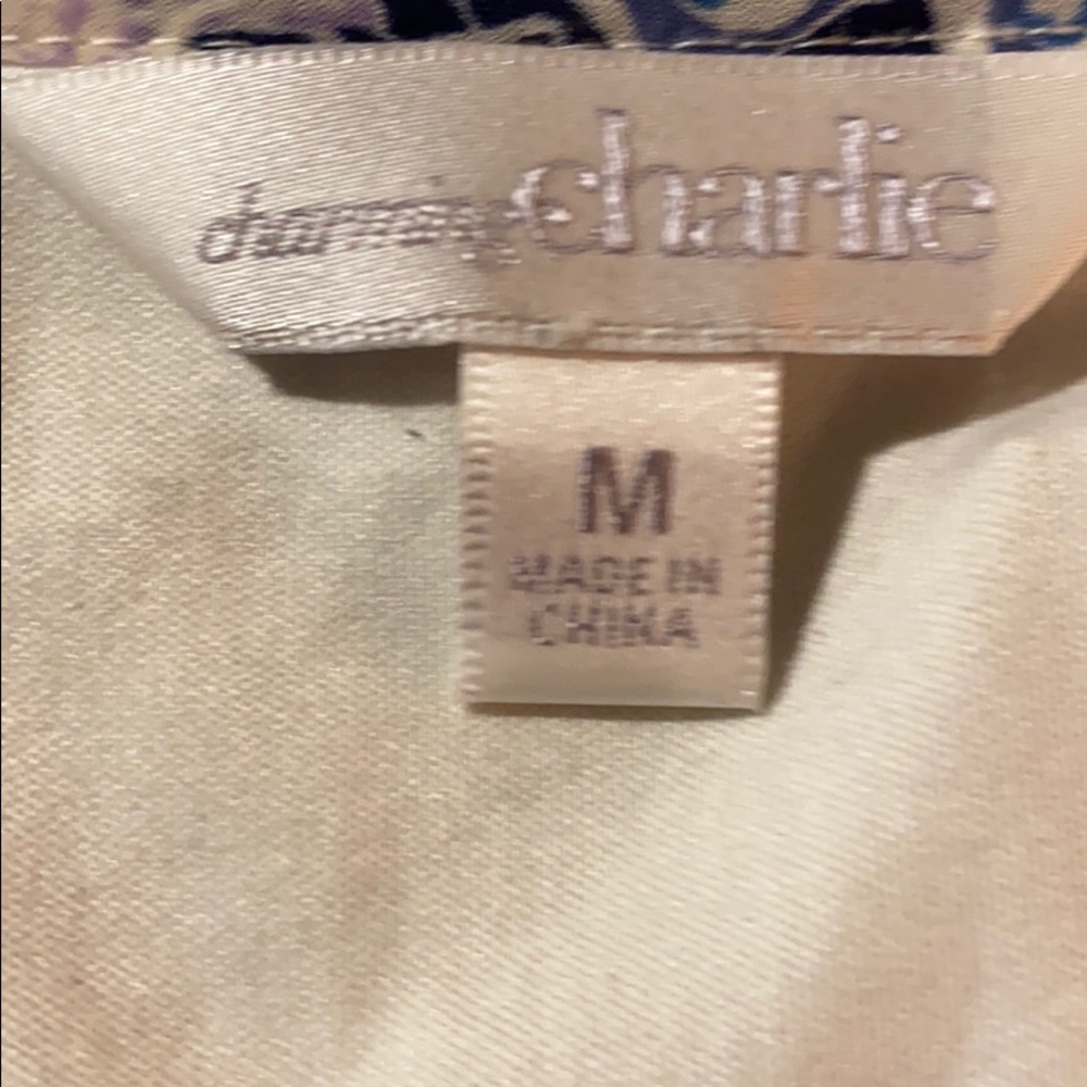 Charming Charlie - Picture 3 of 4